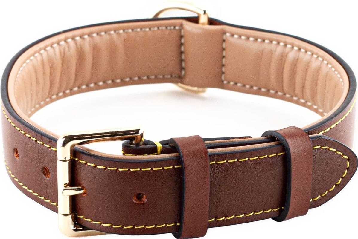 Halsband hond — leer