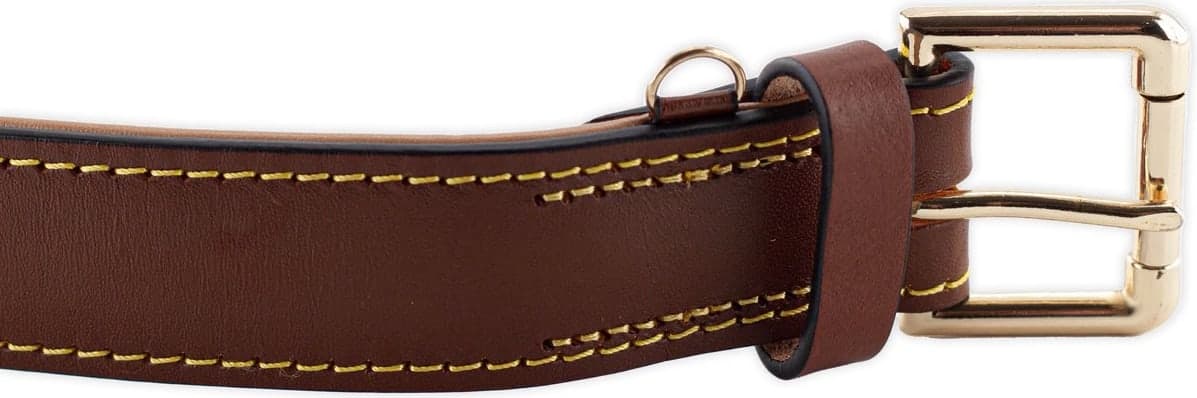 Halsband hond — leer