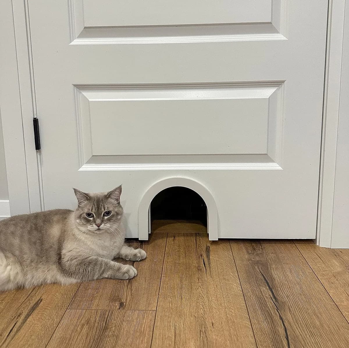 Kattenluik voor binnendeur